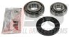 VW 111498071 Wheel Bearing Kit
